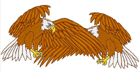 Description: Description: S:\_working\_John Deer\DensityRepairKit\Manual\Double Eagle.bmp