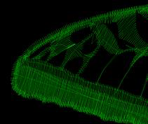 Description: Description: S:\_working\_John Deer\DensityRepairKit\Manual\De-Clump Before.bmp