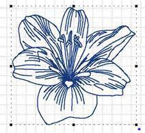 206-SIze & Move-handles 206-SIze & Move-handles